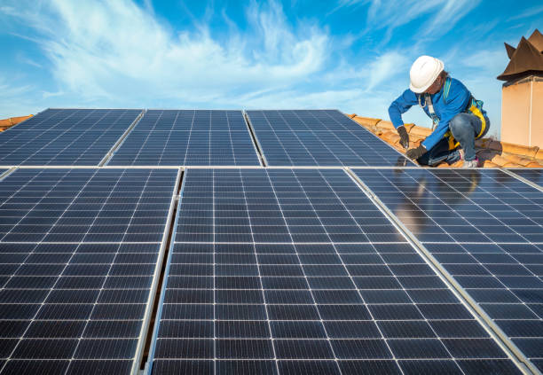 Best Roof Moss and Algae Removal  in Pompano Beach, FL